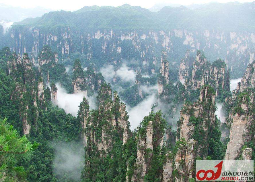 张家界最新情况,张家界最新情况