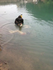 溺亡女孩事件最新进展,逆风翱翔,学习重塑生命奇迹