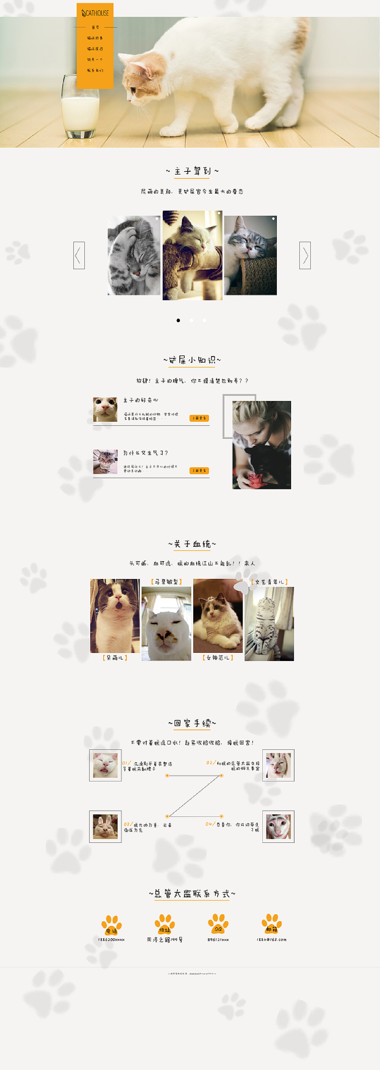 猫咪最新域名地址网站，记录猫咪的温馨日常故事