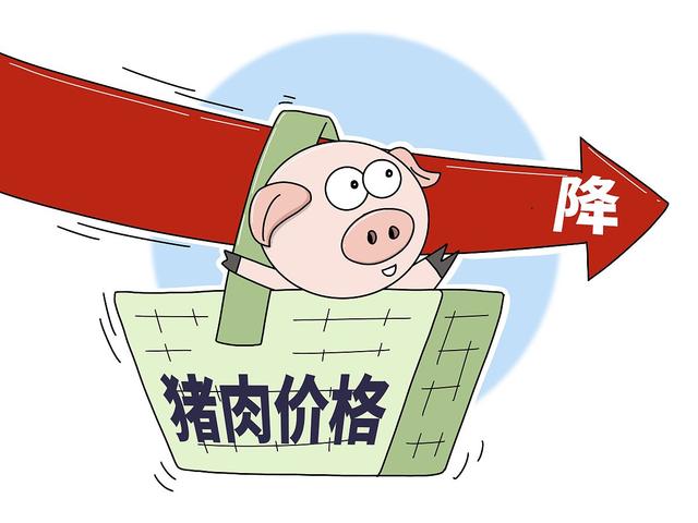 2024猪肉市场动态及选购指南，最新消息与技巧