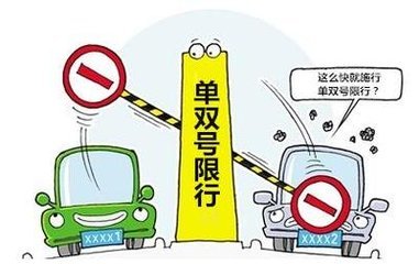 市政设施管理 第259页