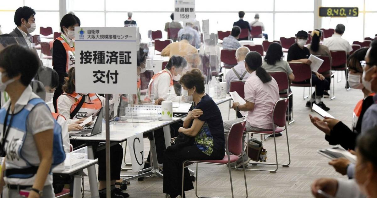 新冠疫苗最新动态,信心与成就感的旋律在变化中前行