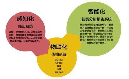 最新网站安全资源深度探讨与观点阐述，全面解析与阐述