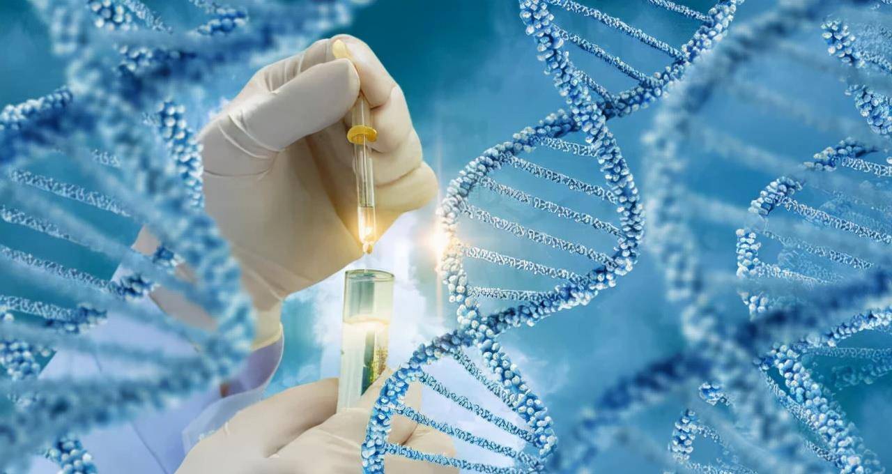 新奥天天精准资料大全,具象化表达解说_极致版90.761