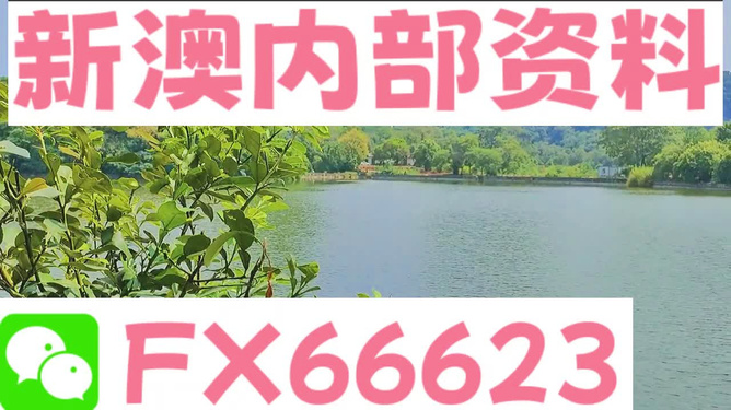 新澳精准资料免费提供最新版,高效运行支持_多维版89.415