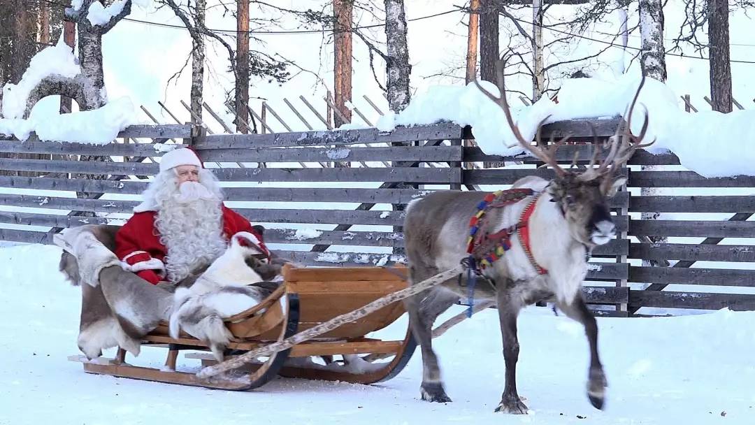 北极圈动态——冰原上的暖心故事纪实