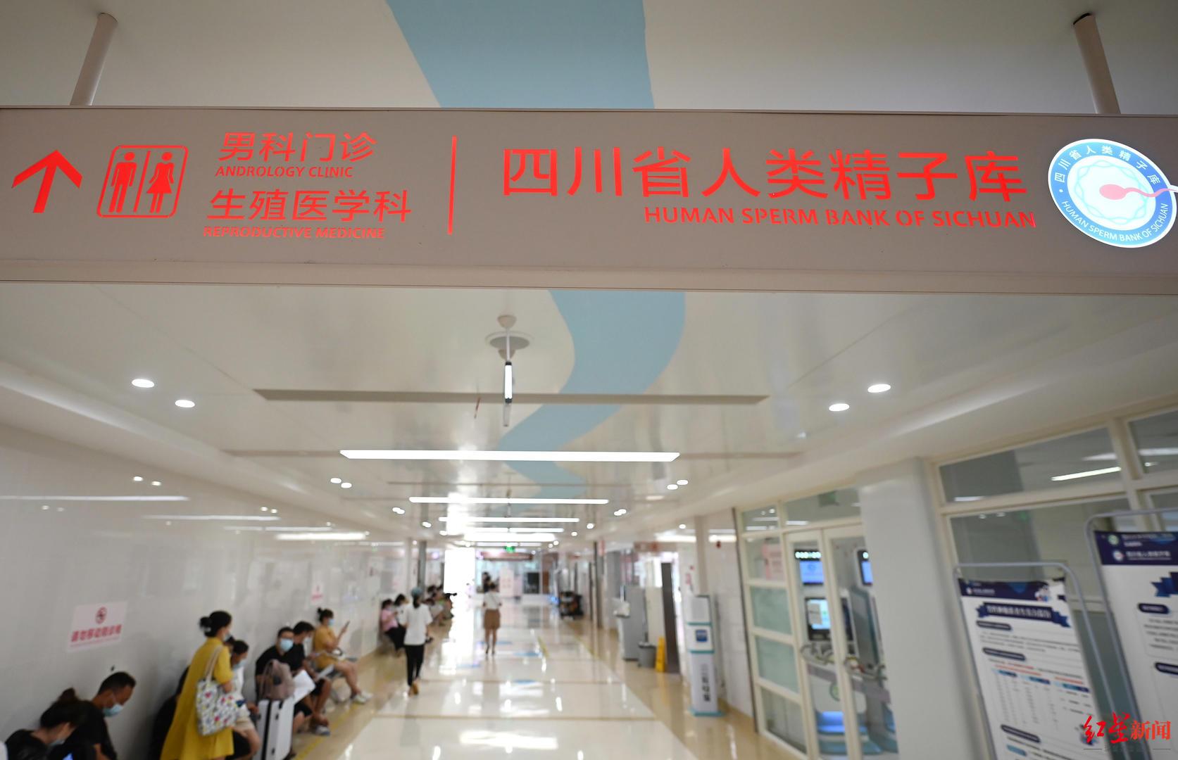 ISO9001质量管理体系最新版标准，心灵与自然的融合之旅