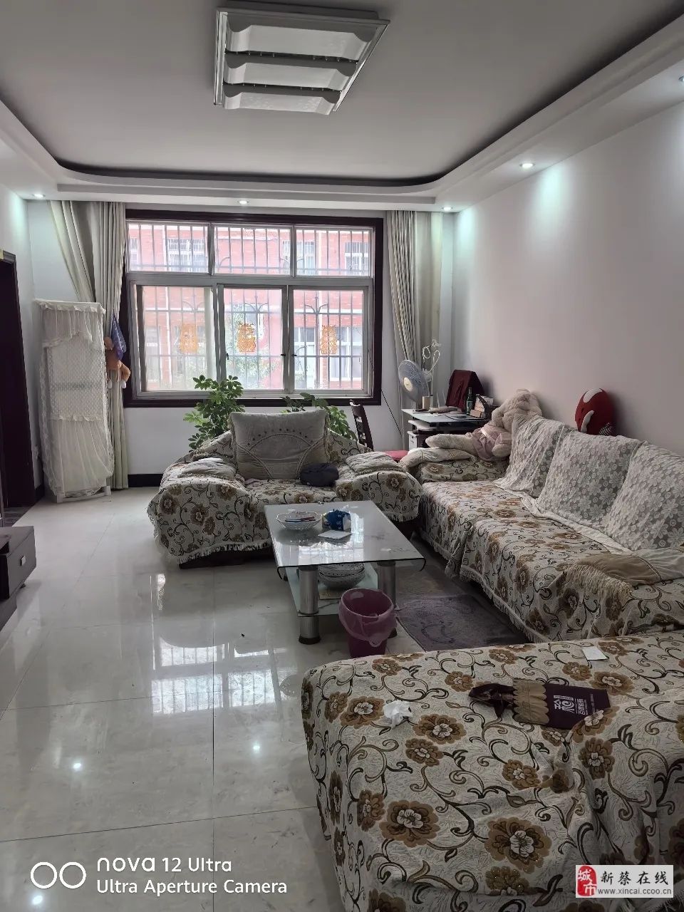 最新新蔡租房信息