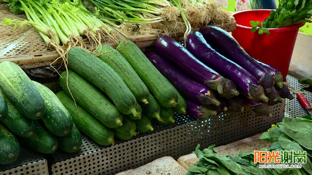5月上市蔬菜
