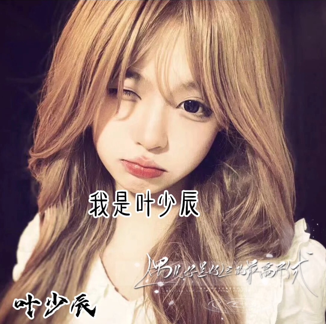 叶少辰最新章节阅读