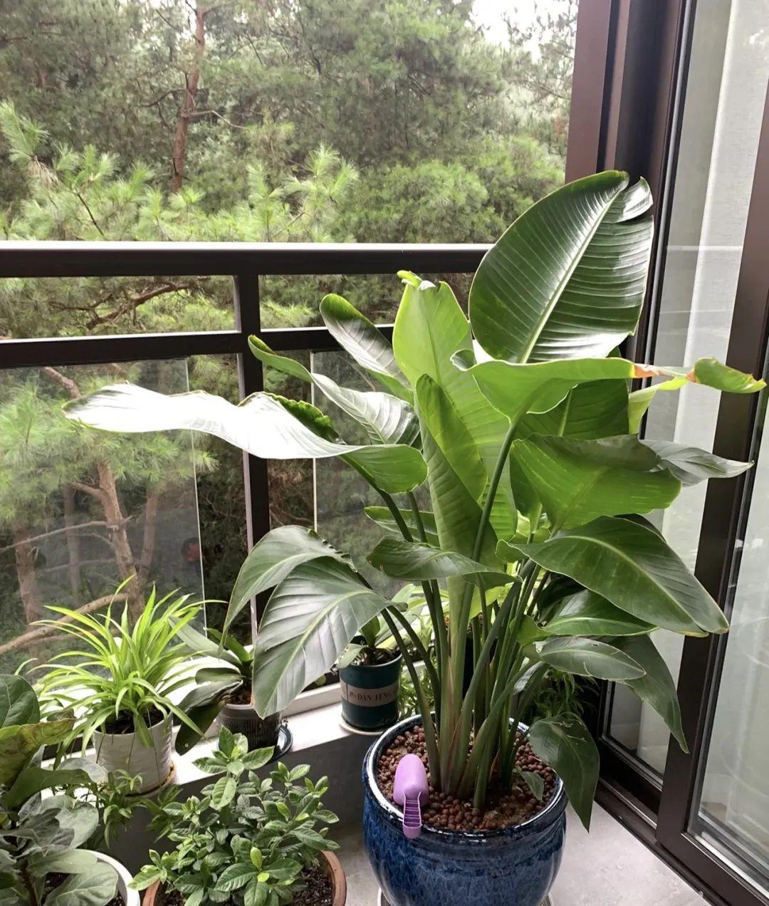 贺兰免费招聘信息