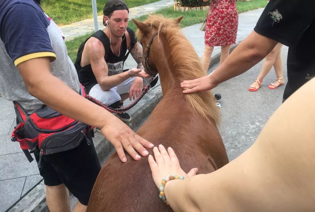 武冈武马公路最新动态，自然美景治愈之旅探索