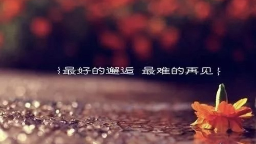 酷酷滕我爱你语录精选