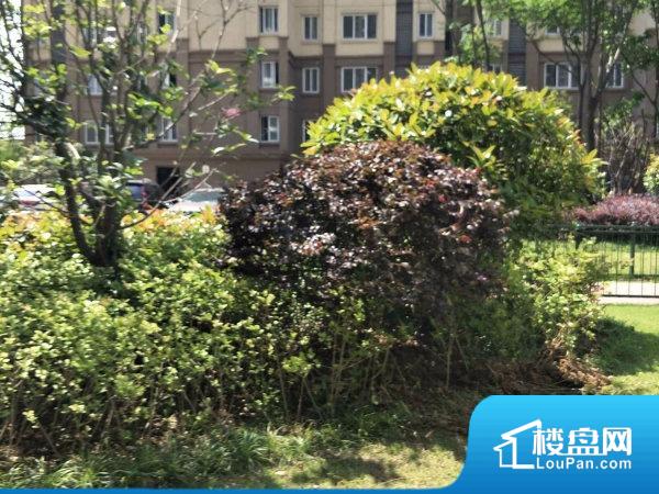 合肥滨湖竹园小巷深处的特色小店最新资讯