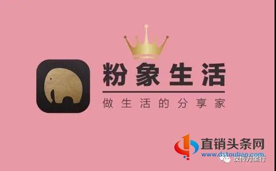 粉象生活资讯，友情与陪伴的温馨日常时光