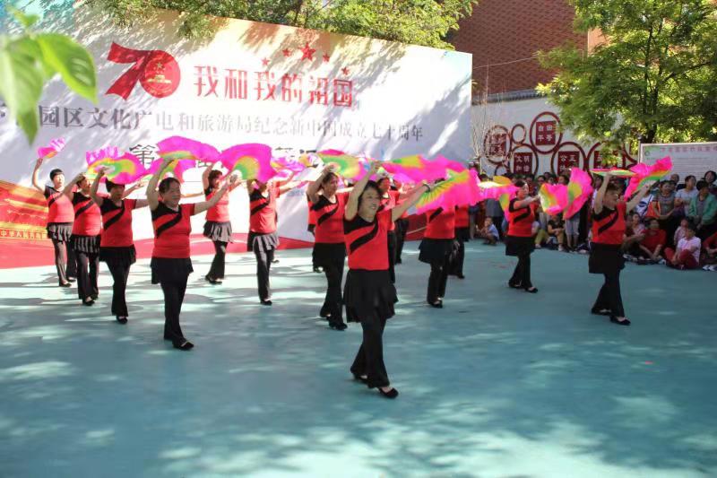 最新广场舞风采展示，文化与生活的完美交融盛宴