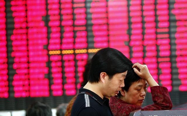 当今股市行情,股市与自然的交响曲，一场寻找内心平静的奇妙旅行