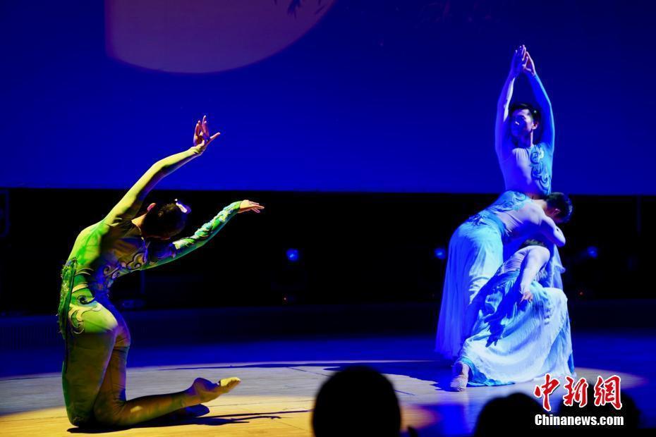 最新歌舞团演出全集，视听盛宴的狂欢之夜