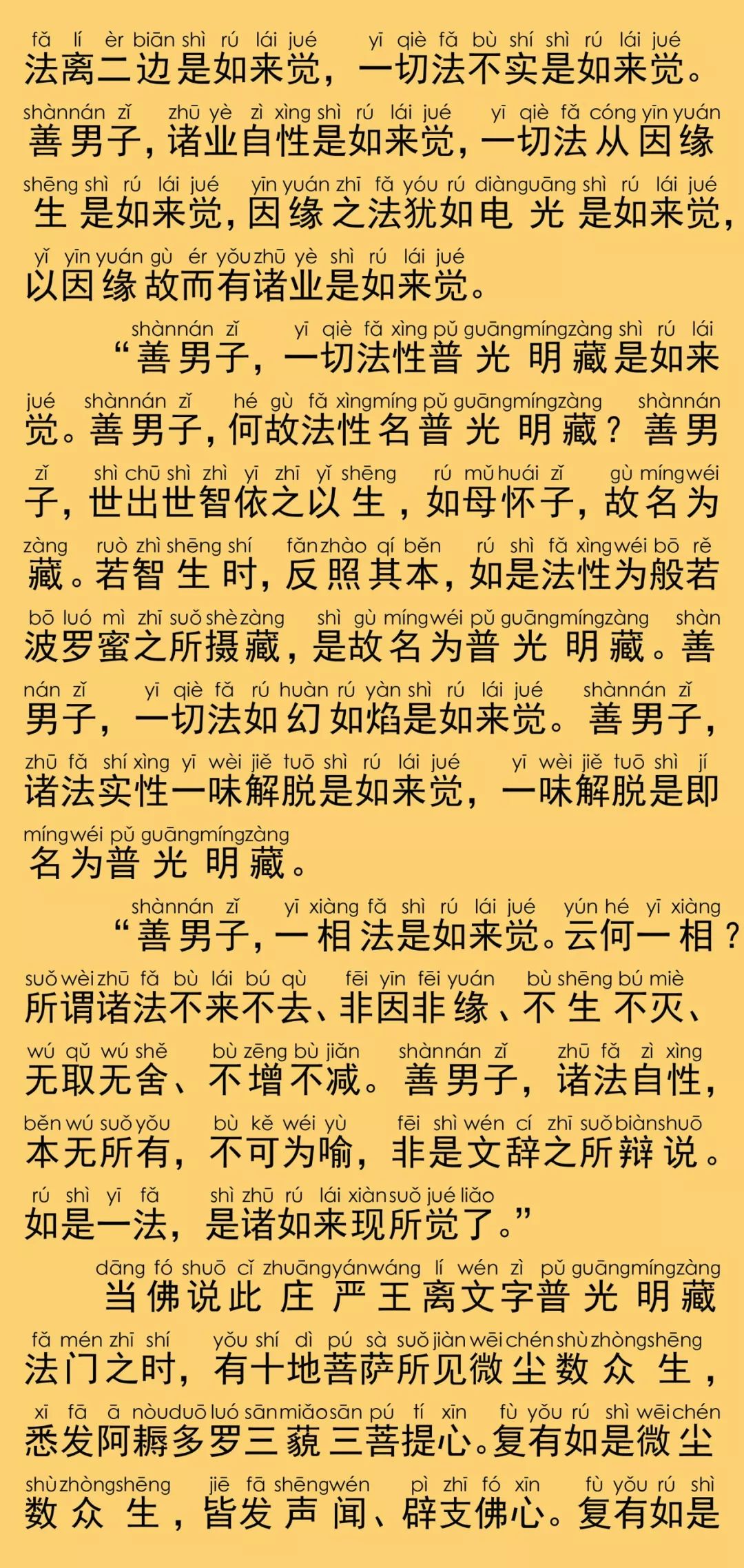 普光明藏经最新灵验故事揭秘，神秘经文的力量与真实感应分享