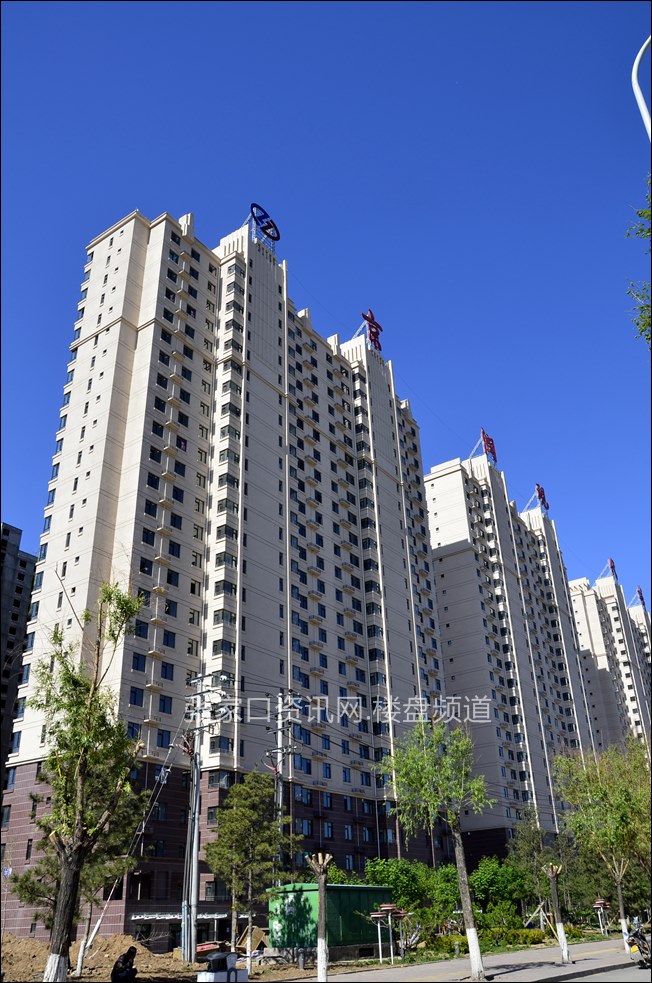 张家口房价动态更新与小巷深处的独特风情