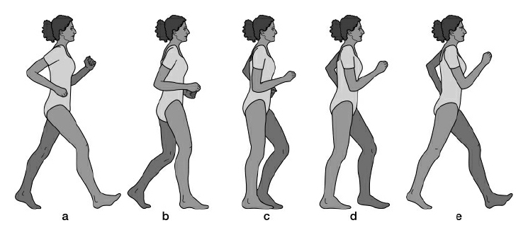 “最新步态锻炼方法”