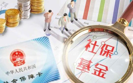 苏州社保补缴最新政策,苏州社保补缴最新政策，变化中的机遇，自信与成就感的源泉