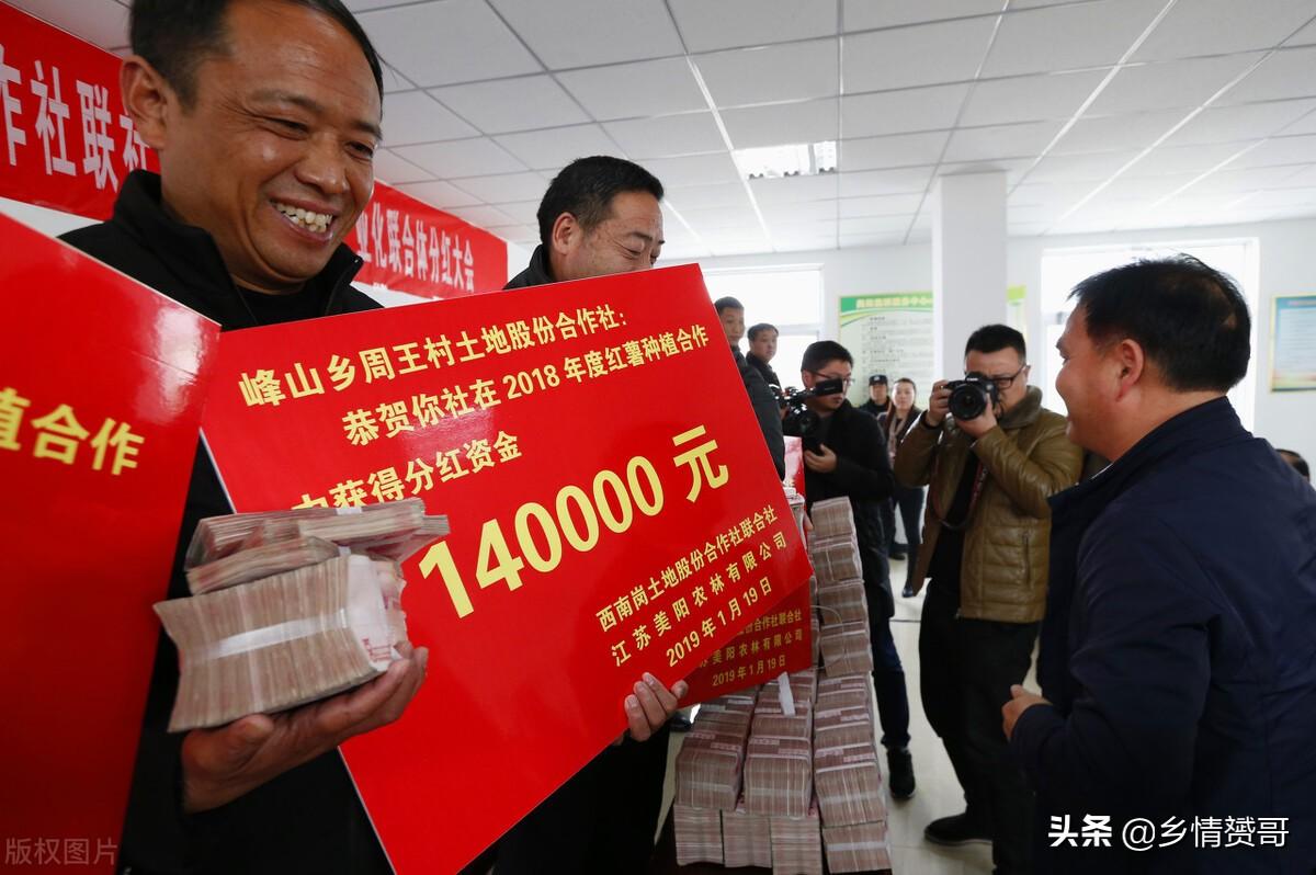 最新农村土地承包政策解读与概述📘