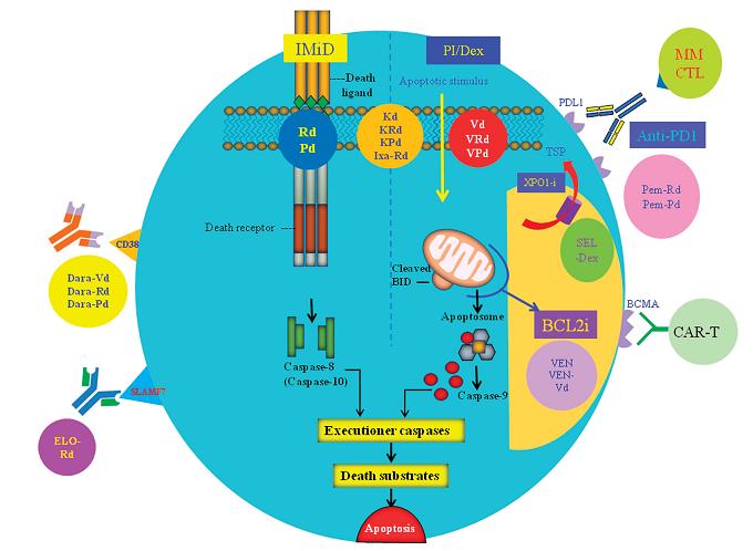 来那度胺审批进展更新，小巷独特风味探秘揭秘