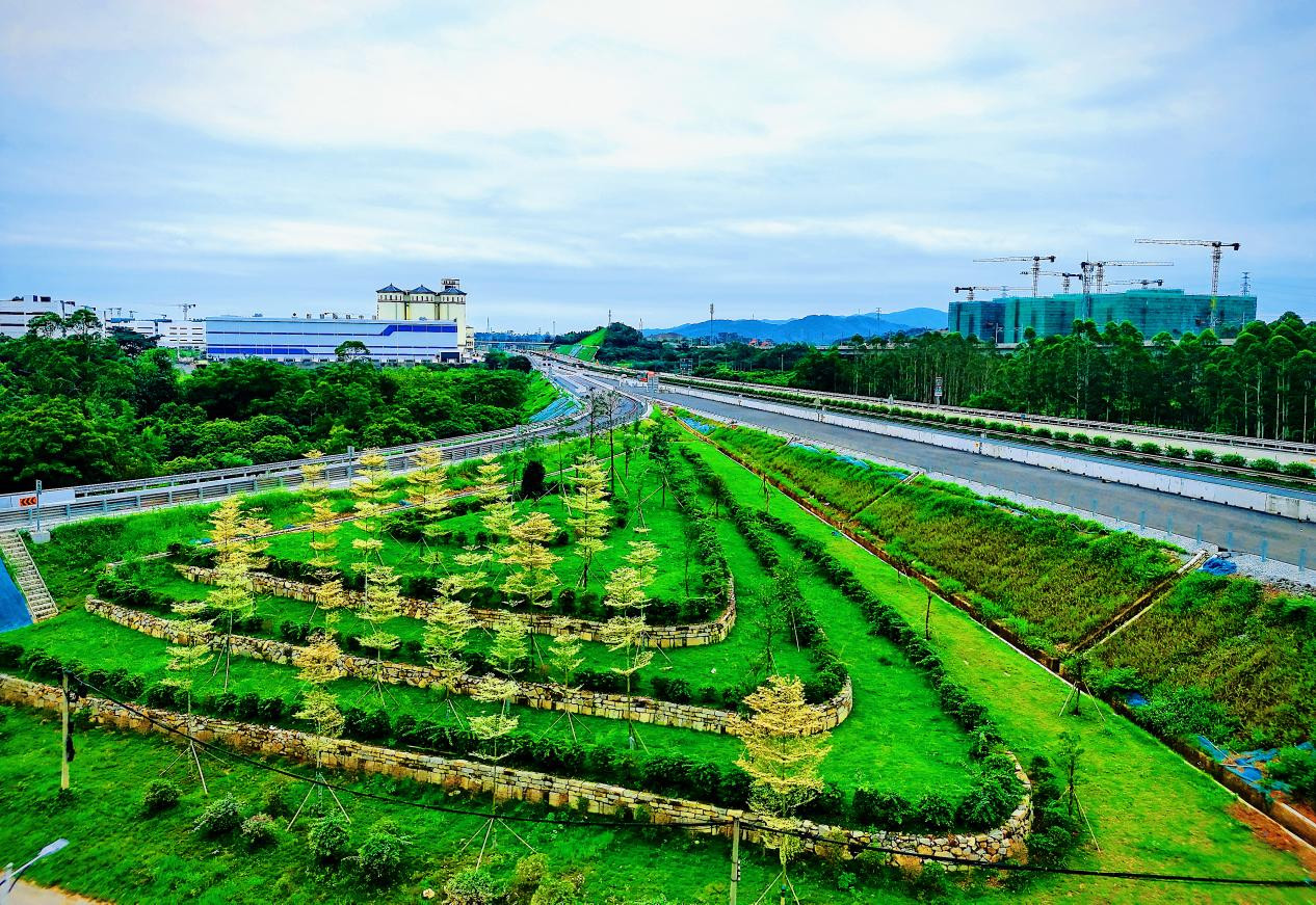 最新绿色项目，重塑可持续未来的三大关键领域探索