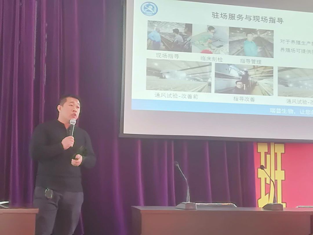 探索水禽世界演变与发展，最新水禽动态综述