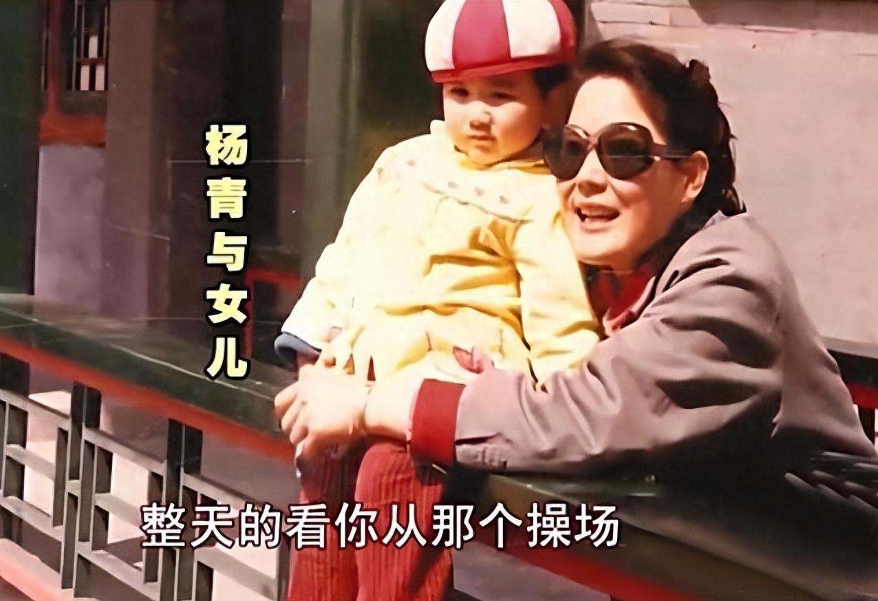 演员杨青的多元身份，背景、影响与时代地位的探寻