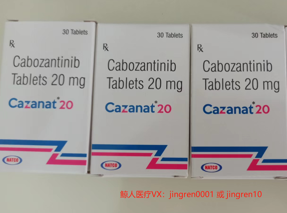 印度卡马替尼价格指南，获取最优惠价格的秘诀