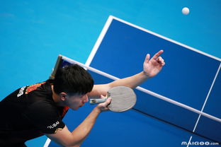 乒乓球最新世界排名，时代的辉煌与深远影响