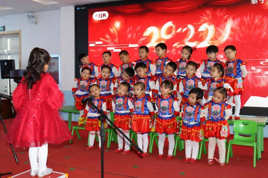 康比赛，体育盛事的背景、历程与深远影响