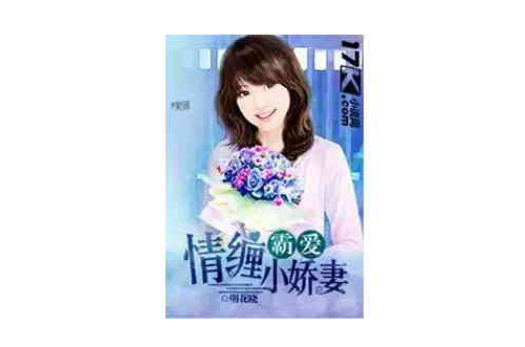 娇妻章节更新,娇妻章节更新步骤指南