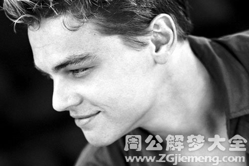 梦到明星的含义,一段星光下的心灵触动与温馨故事