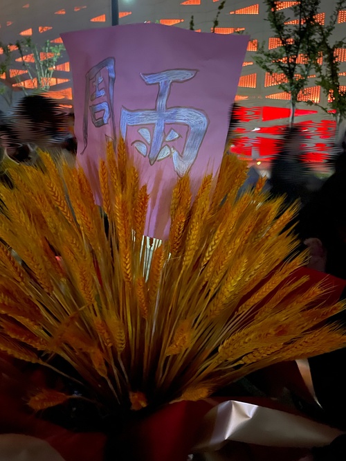 比赛花篮,比赛花篮绚烂绽放，记录每一刻荣耀时刻！