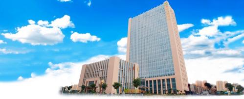 生态股票最新动态及观点论述解析