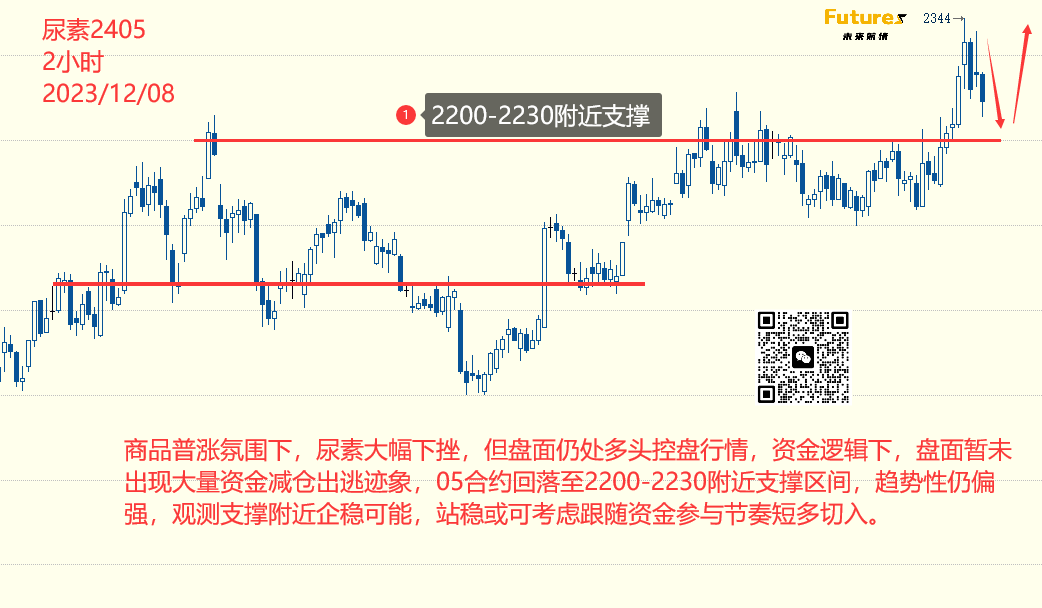 空头行情反弹阶段重磅解读，你准备好迎接市场反转了吗？