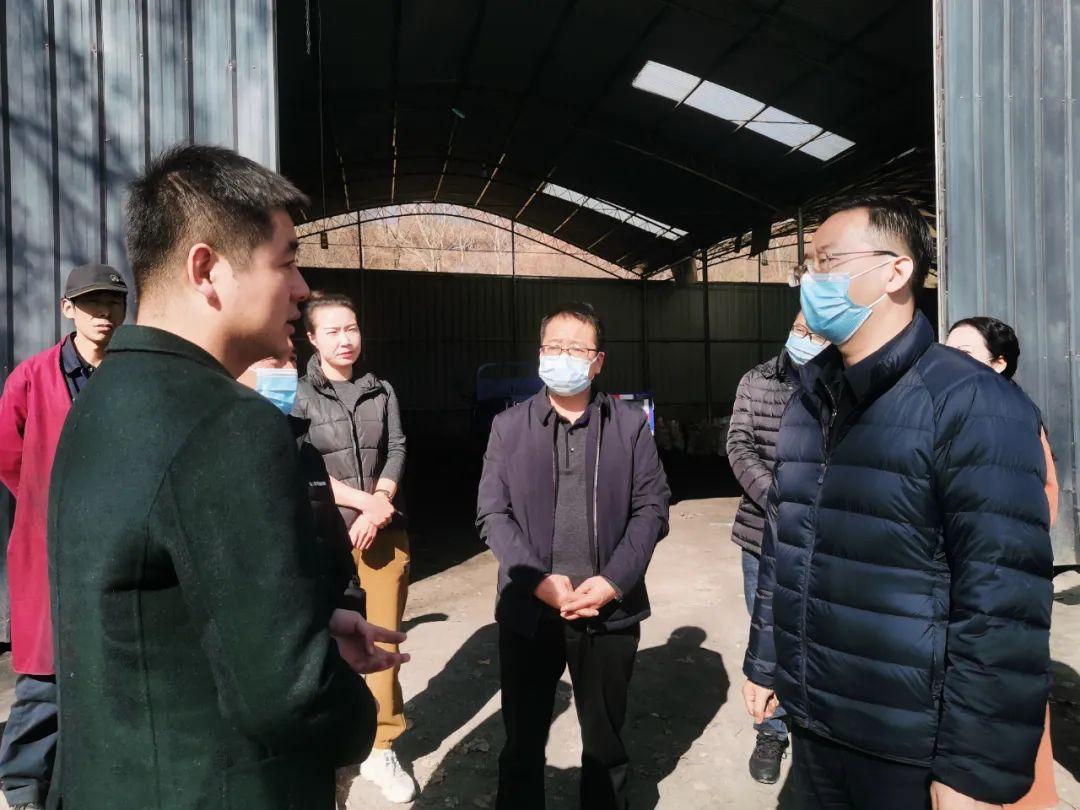 煤炭行情最新价格动态更新