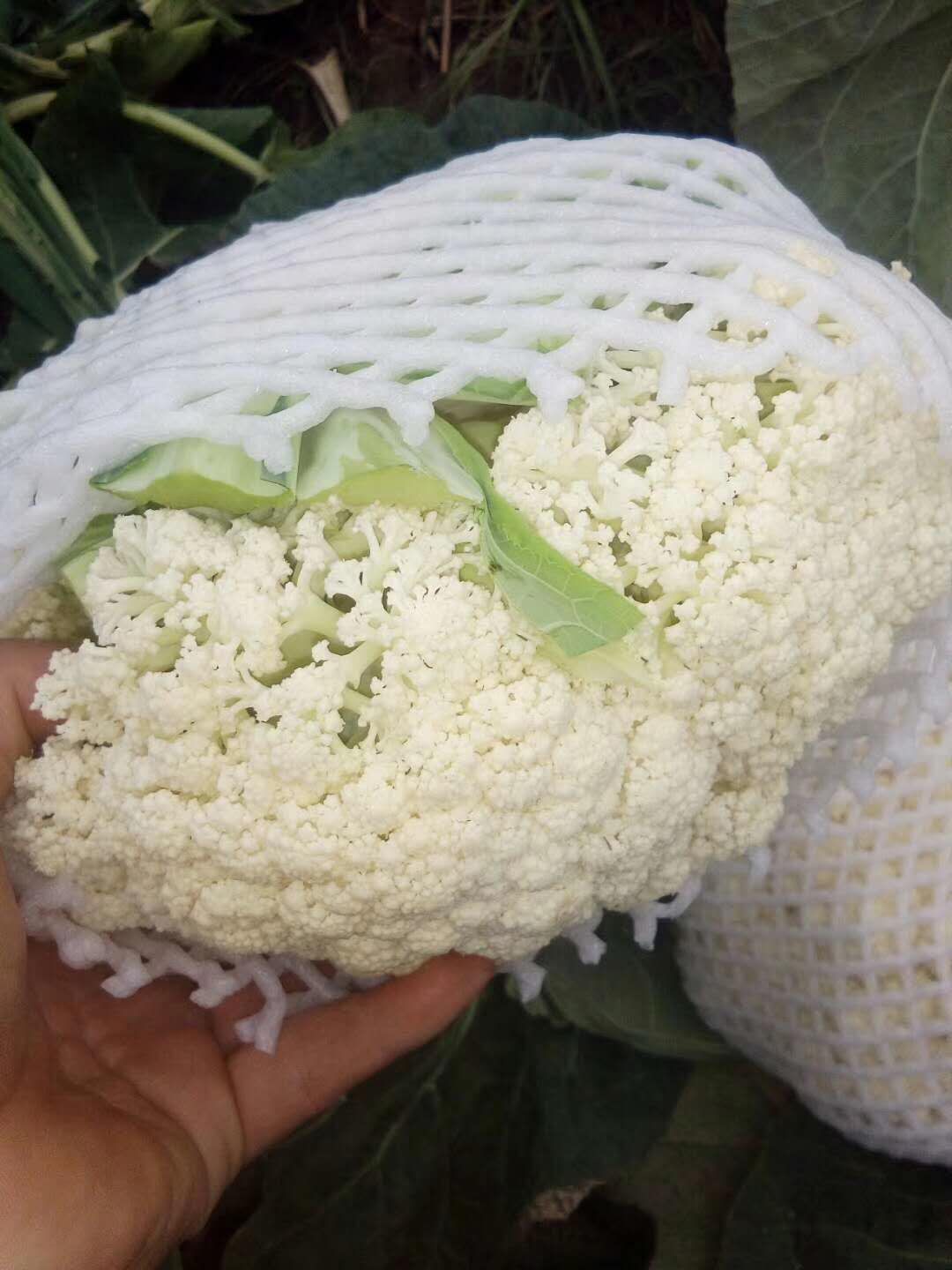 市政设施管理 第28页