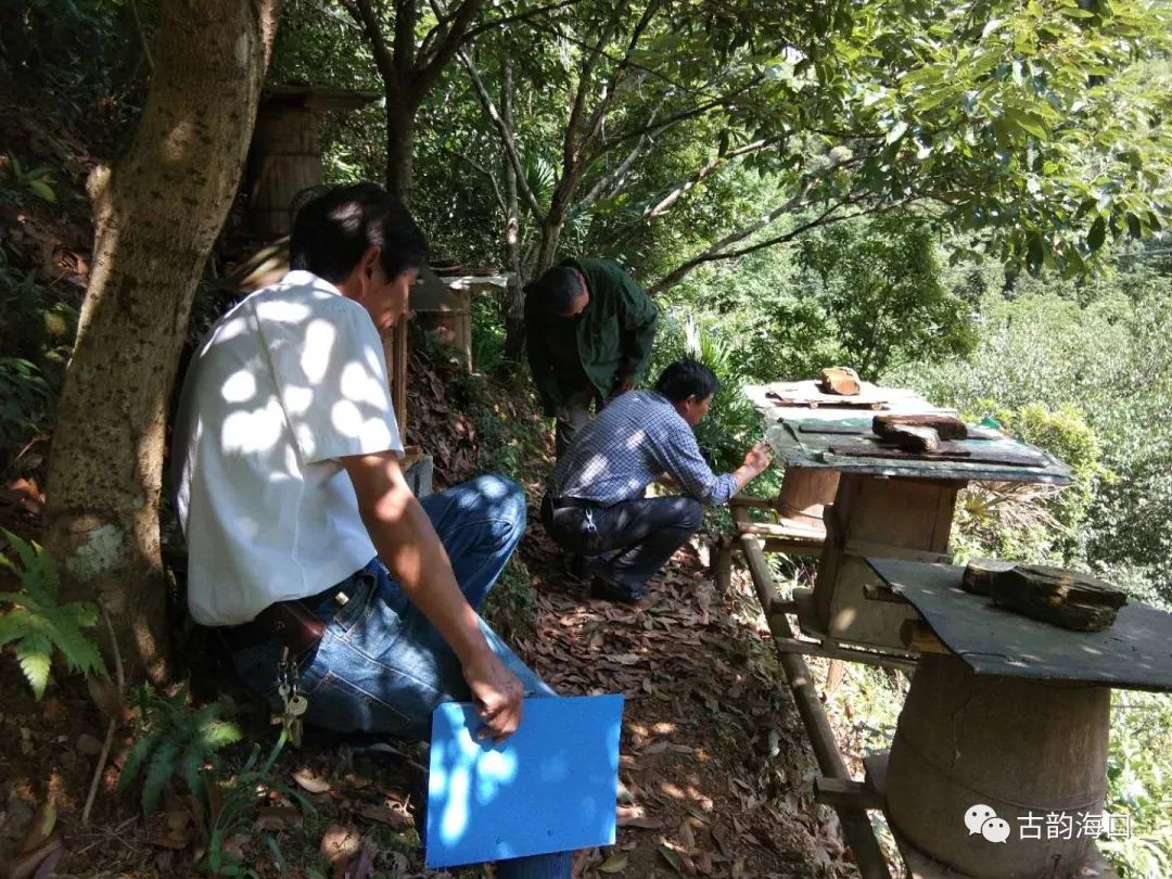 余信贵最新征地动态更新，最新征地进展及动态报告