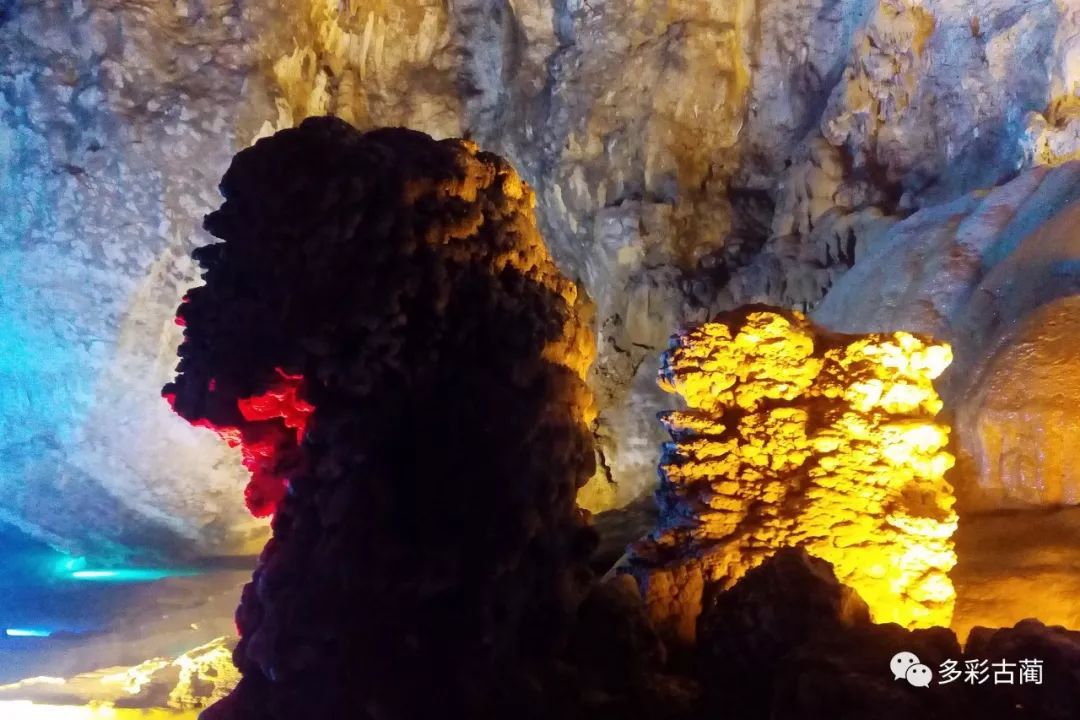 洞郎事件最新进展揭秘