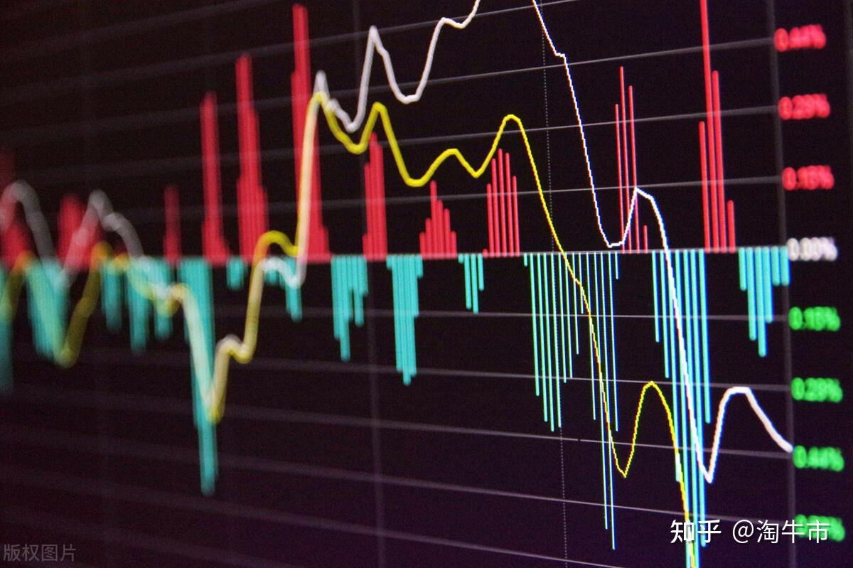 股要行情，心灵与自然的奇妙之旅