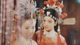 明珠演员，演艺界的璀璨之星闪耀光芒