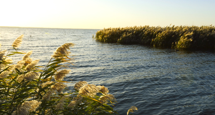 居延海门票信息详解，轻松获取入场券攻略