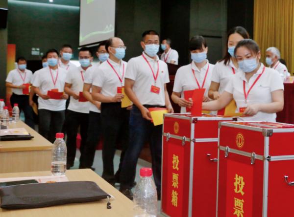 珠江啤酒股票，日常小确幸的关联探究